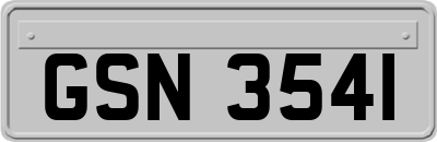 GSN3541