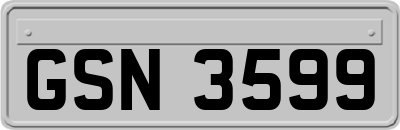 GSN3599