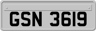 GSN3619