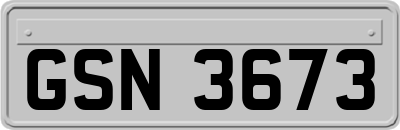 GSN3673