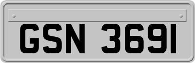 GSN3691