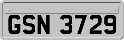 GSN3729
