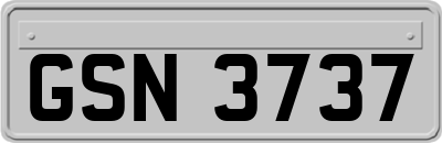 GSN3737