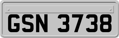 GSN3738