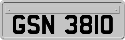 GSN3810