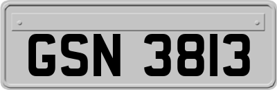 GSN3813