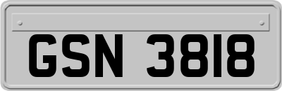 GSN3818