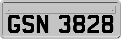 GSN3828