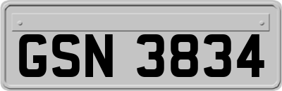 GSN3834