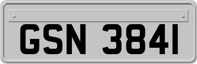 GSN3841