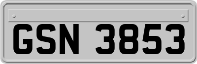 GSN3853