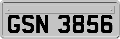 GSN3856