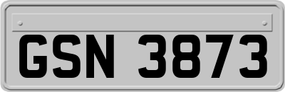 GSN3873