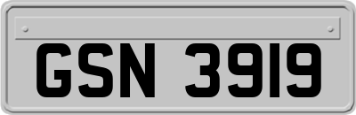 GSN3919