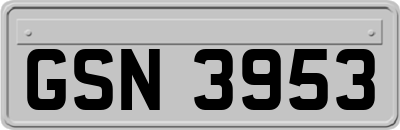 GSN3953