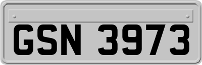 GSN3973