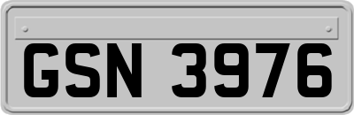 GSN3976