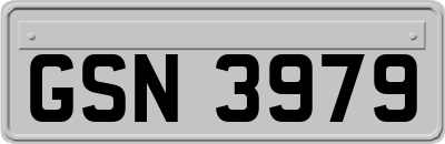 GSN3979