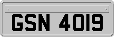 GSN4019