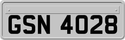 GSN4028