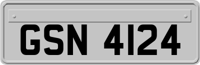 GSN4124