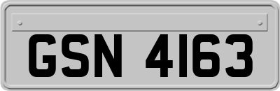 GSN4163