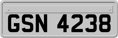 GSN4238