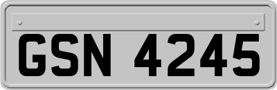 GSN4245