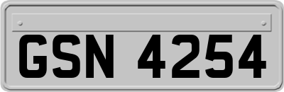 GSN4254