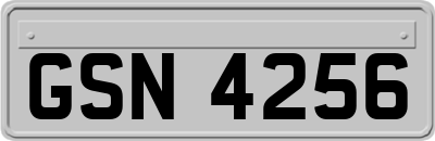 GSN4256