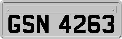 GSN4263