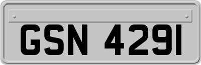 GSN4291