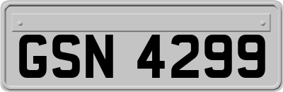 GSN4299