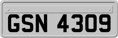 GSN4309