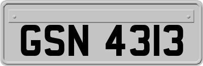 GSN4313