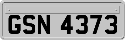 GSN4373