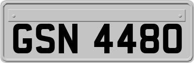 GSN4480