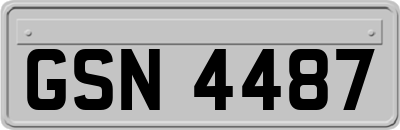 GSN4487