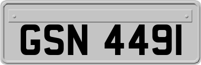 GSN4491