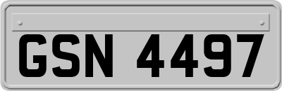 GSN4497