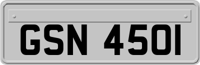 GSN4501