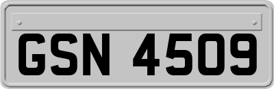 GSN4509