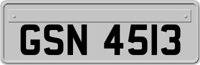 GSN4513