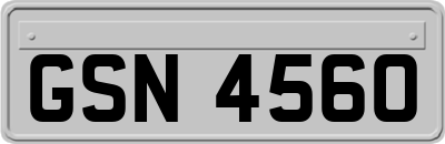GSN4560