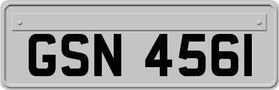 GSN4561