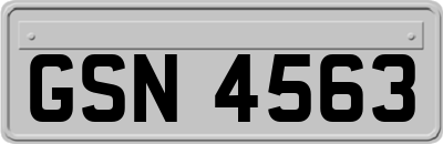 GSN4563