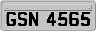 GSN4565