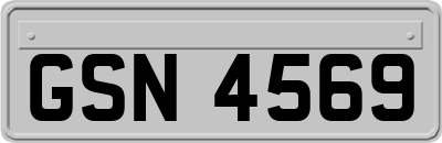 GSN4569