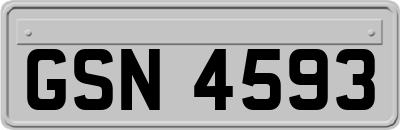 GSN4593
