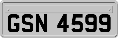 GSN4599
